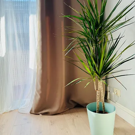 Lejlighed Step To The Vatican